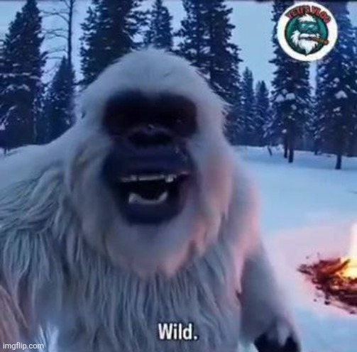 When an idiot comments "SYBAU" when nobody was even talking. | image tagged in yeti,wild,memes,reaction,snow,stupid | made w/ Imgflip meme maker