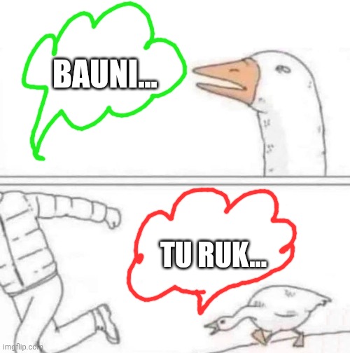 Goose Chase | BAUNI... TU RUK... | image tagged in goose chase | made w/ Imgflip meme maker