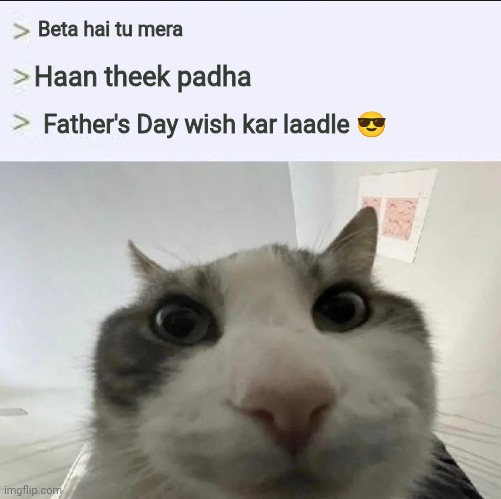 Cat looks inside | Beta hai tu mera; Haan theek padha; Father's Day wish kar laadle 😎 | image tagged in cat looks inside | made w/ Imgflip meme maker