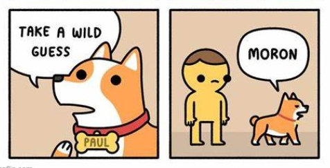 take a wild guess moron Blank Meme Template