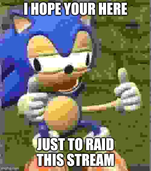 Drunk Sonic | I HOPE YOUR HERE; JUST TO RAID THIS STREAM | image tagged in drunk sonic | made w/ Imgflip meme maker