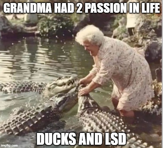 2 Passions | GRANDMA HAD 2 PASSION IN LIFE; DUCKS AND LSD | image tagged in dark humor | made w/ Imgflip meme maker
