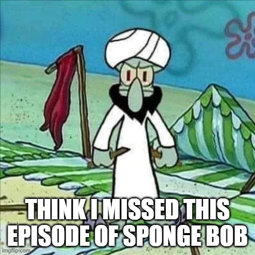 Jihad Squidward | THINK I MISSED THIS EPISODE OF SPONGE BOB | image tagged in cartoons | made w/ Imgflip meme maker