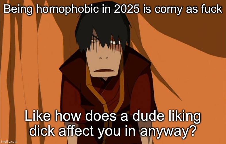 Potato chips | Being homophobic in 2025 is corny as fuck; Like how does a dude liking dick affect you in anyway? | image tagged in zuko flustered | made w/ Imgflip meme maker