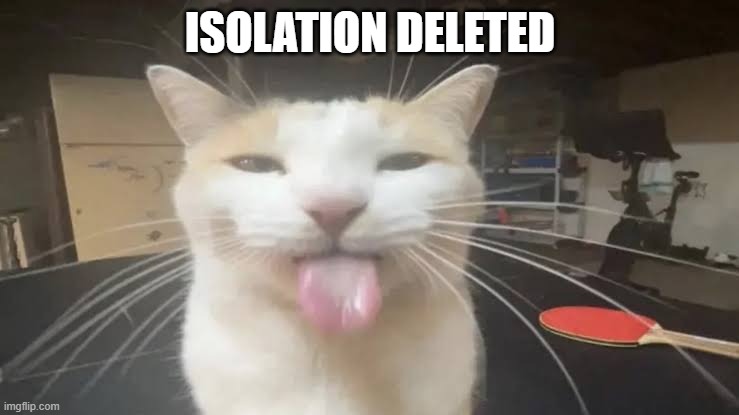 Milly the silly cat Bleh Cat | ISOLATION DELETED | image tagged in milly the silly cat bleh cat,sans of topic | made w/ Imgflip meme maker