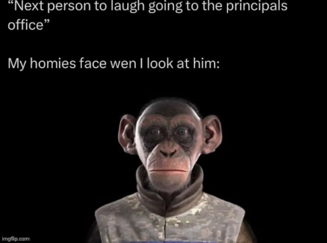 image tagged in memes,funny - but i cant laugh,homies,funny,animals | made w/ Imgflip meme maker