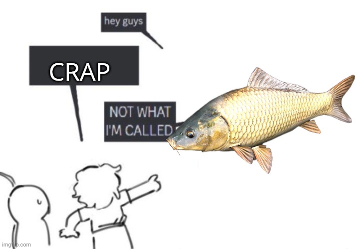 Hey Guys - NOT WHAT I'M CALLED | CRAP | image tagged in hey guys - not what i'm called | made w/ Imgflip meme maker