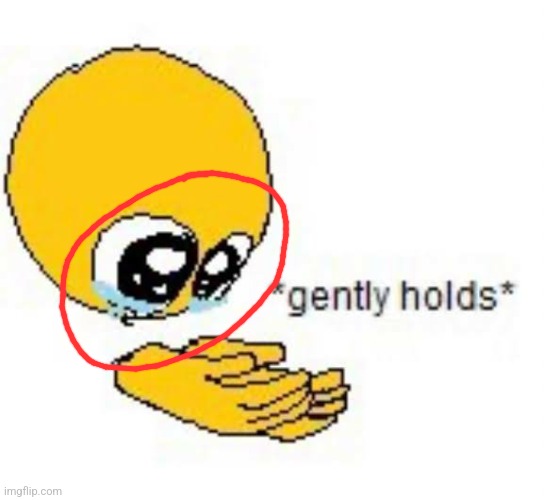 Gently holds emoji | image tagged in gently holds emoji | made w/ Imgflip meme maker