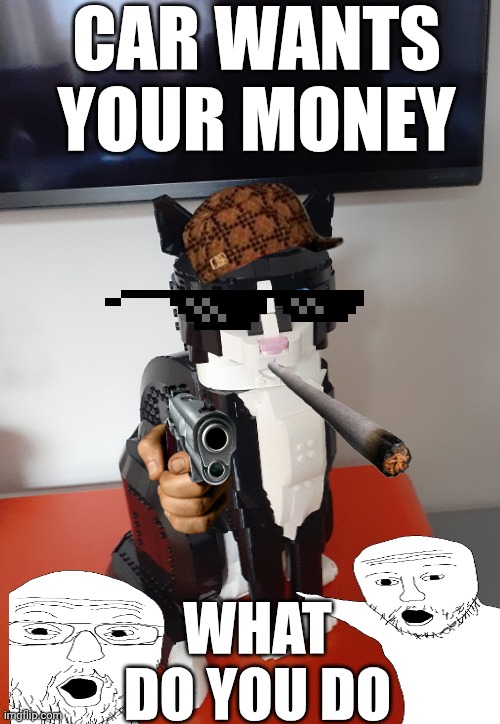 Car wants your money | CAR WANTS YOUR MONEY; WHAT DO YOU DO | image tagged in lego tuxedo cat | made w/ Imgflip meme maker