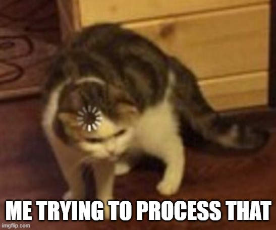 Loading cat | ME TRYING TO PROCESS THAT | image tagged in loading cat | made w/ Imgflip meme maker