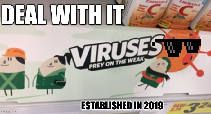DEAL WITH IT; ESTABLISHED IN 2019 | made w/ Imgflip meme maker