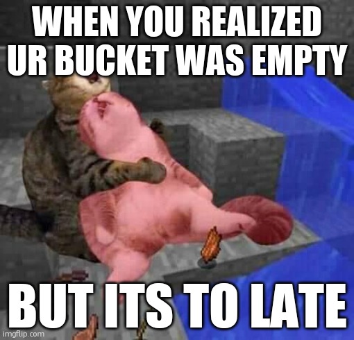 Dead minecraft cat meme | WHEN YOU REALIZED UR BUCKET WAS EMPTY; BUT ITS TO LATE | image tagged in dead minecraft cat meme | made w/ Imgflip meme maker