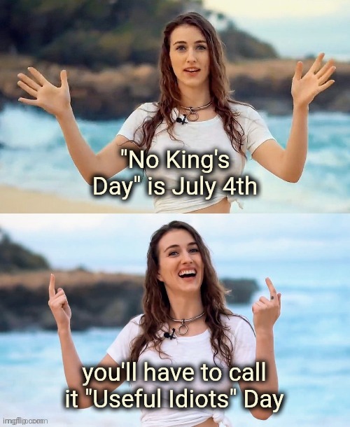 You deserve a Holiday too | "No King's Day" is July 4th; you'll have to call it "Useful Idiots" Day | image tagged in beach joke,useful idiots,bought and paid for,billionaires love you,elite scum,america haters | made w/ Imgflip meme maker