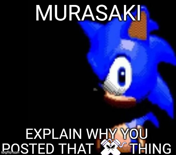 Sonic stares | MURASAKI; EXPLAIN WHY YOU POSTED THAT          THING | image tagged in sonic stares | made w/ Imgflip meme maker