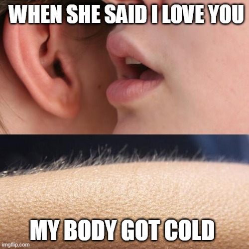 Whisper and Goosebumps | WHEN SHE SAID I LOVE YOU; MY BODY GOT COLD | image tagged in whisper and goosebumps | made w/ Imgflip meme maker