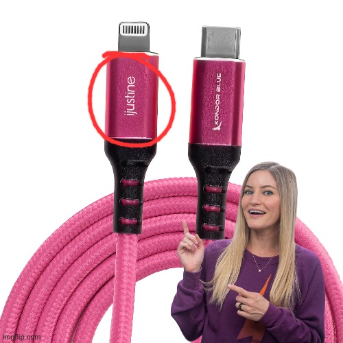 iJustine Cable for iPad | image tagged in youtube,girl,blonde,instagram,tiktok,tech | made w/ Imgflip meme maker