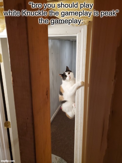 slandering games i enjoy part 1 | "bro you should play white Knuckle the gameplay is peak"
the gameplay: | image tagged in cat,slander,white knuckle | made w/ Imgflip meme maker