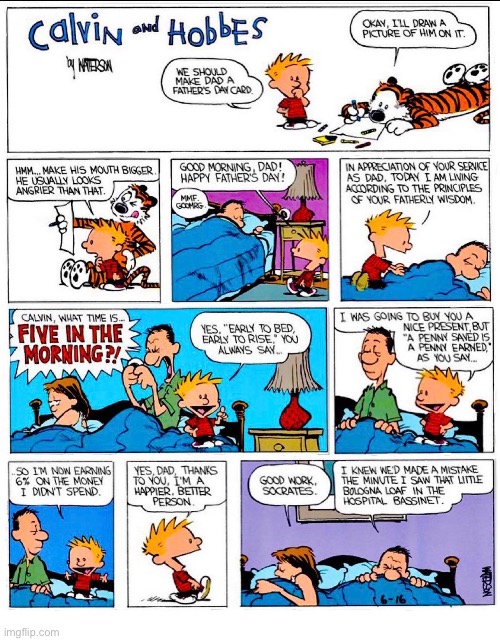 image tagged in comics,calvin and hobbes,fathers day | made w/ Imgflip meme maker