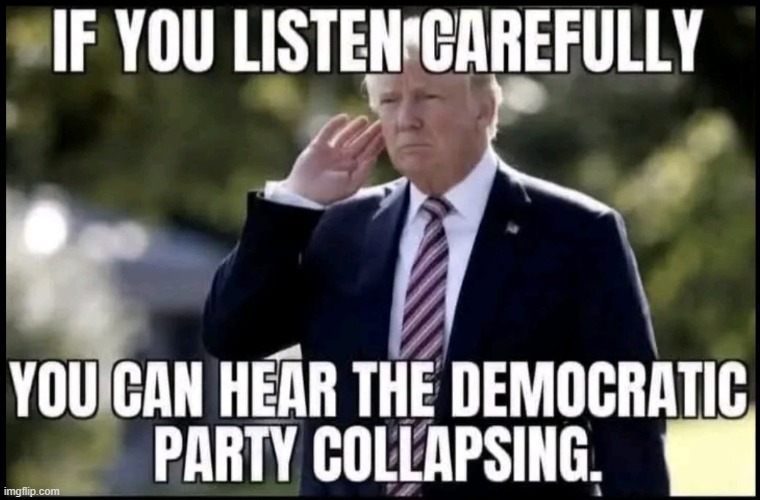 No one in his right mind should ever vote for a Democrat again. | image tagged in liberalism,mental illness,identity crisis,alternate reality,reality check | made w/ Imgflip meme maker