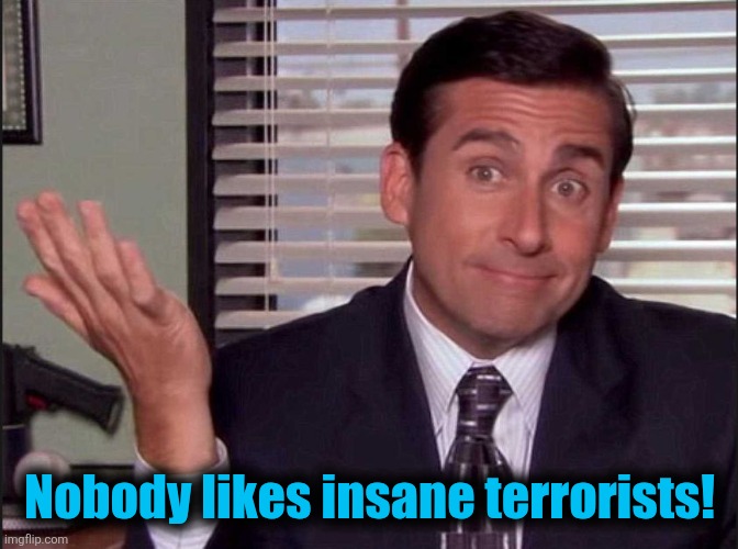 Michael Scott | Nobody likes insane terrorists! | image tagged in michael scott | made w/ Imgflip meme maker