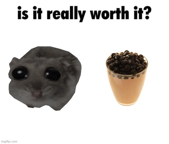 Is it really worth it? | image tagged in is it really worth it | made w/ Imgflip meme maker