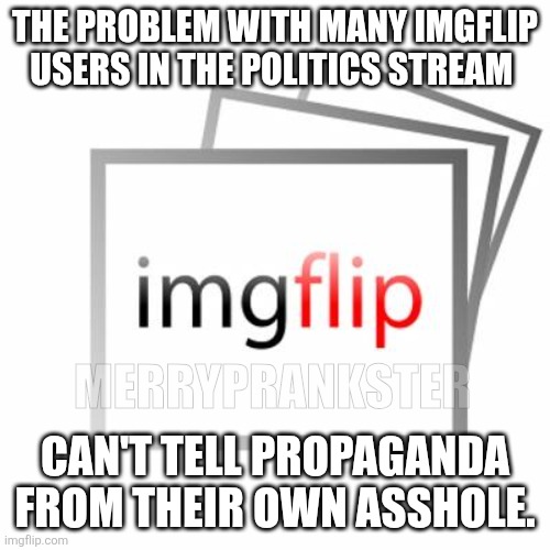 :) | THE PROBLEM WITH MANY IMGFLIP USERS IN THE POLITICS STREAM; MERRYPRANKSTER; CAN'T TELL PROPAGANDA FROM THEIR OWN ASSHOLE. | image tagged in imgflip | made w/ Imgflip meme maker