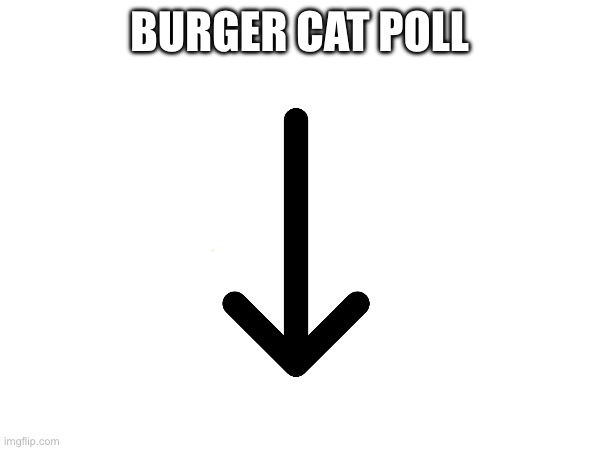 BURGER CAT POLL | made w/ Imgflip meme maker