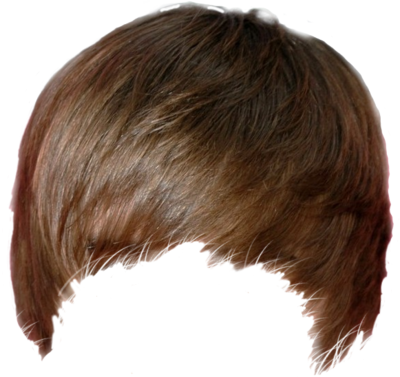 justin bieber's hair Blank Meme Template