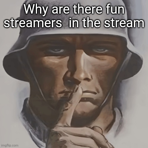 German soldier shushing | Why are there fun streamers  in the stream | image tagged in german soldier shushing | made w/ Imgflip meme maker