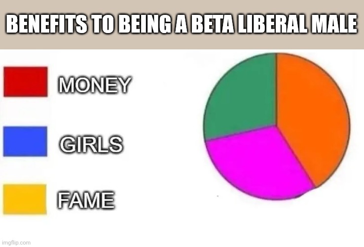 BENEFITS TO BEING A BETA LIBERAL MALE | made w/ Imgflip meme maker