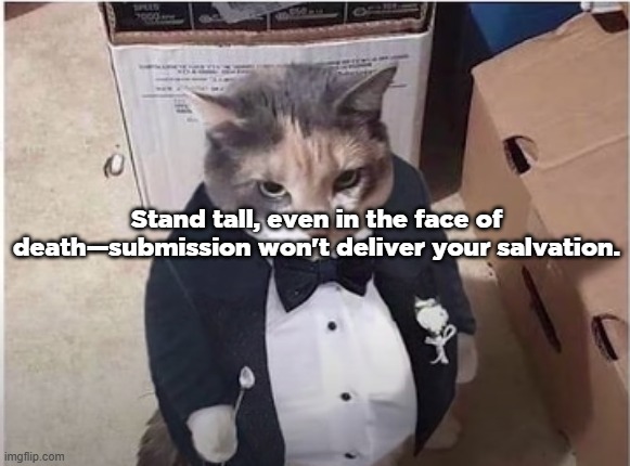 Fancy Cat | Stand tall, even in the face of death—submission won't deliver your salvation. | image tagged in fancy cat | made w/ Imgflip meme maker