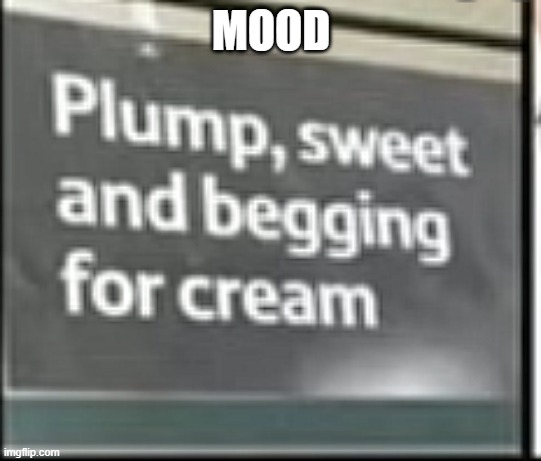mood | MOOD | image tagged in femboy | made w/ Imgflip meme maker