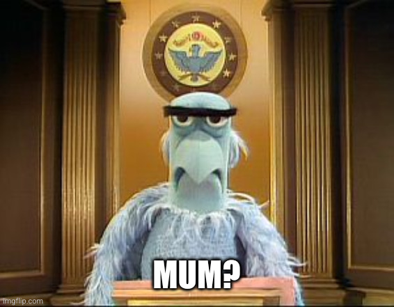 Muppet Eagle | MUM? | image tagged in muppet eagle | made w/ Imgflip meme maker