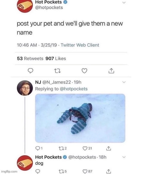 “Dog” | image tagged in dog | made w/ Imgflip meme maker