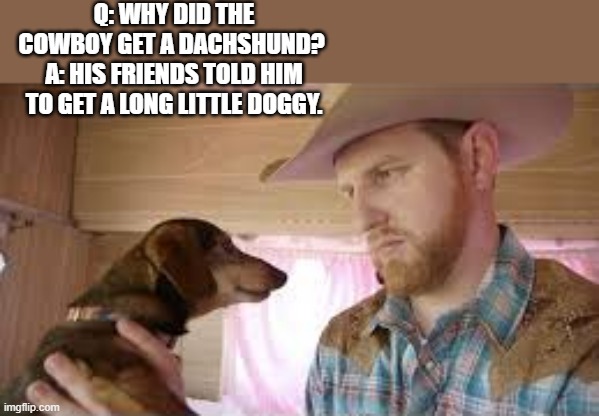 Why did the cowboy get a Dachshund dog? He was told to get a long little doggie. | Q: WHY DID THE COWBOY GET A DACHSHUND?  A: HIS FRIENDS TOLD HIM TO GET A LONG LITTLE DOGGY. | image tagged in funny,fun,play on words,dogs,cowboy,humor | made w/ Imgflip meme maker