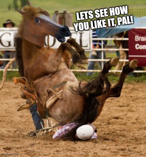 LETS SEE HOW YOU LIKE IT, PAL! | made w/ Imgflip meme maker