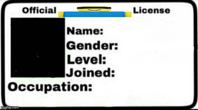 The Z's official license | image tagged in license | made w/ Imgflip meme maker