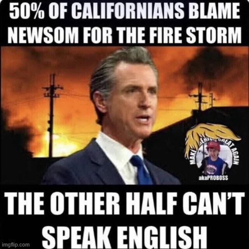 They need illegals to replace all the people leaving because of failed dem politics | image tagged in california fires,they need to replace all the people leaving | made w/ Imgflip meme maker