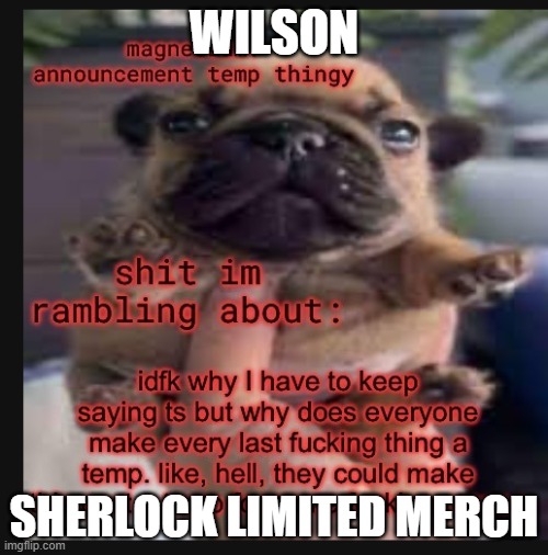 Mastruberoajd thing i | WILSON; SHERLOCK LIMITED MERCH | image tagged in template godly wow | made w/ Imgflip meme maker