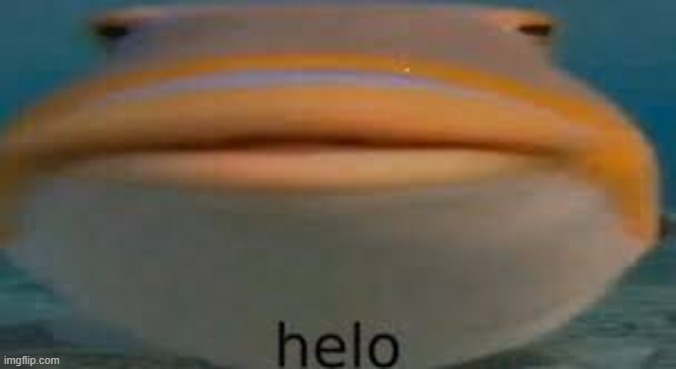 thought i'd drop in | image tagged in fish helo | made w/ Imgflip meme maker
