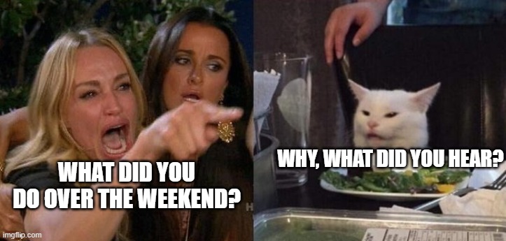 weekend | WHY, WHAT DID YOU HEAR? WHAT DID YOU DO OVER THE WEEKEND? | image tagged in woman yelling at smudge the cat | made w/ Imgflip meme maker