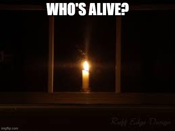 we fell off hard :( | WHO'S ALIVE? | image tagged in light in the darkness | made w/ Imgflip meme maker