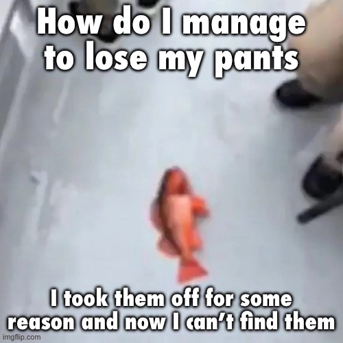 Jimmy here fish | How do I manage to lose my pants; I took them off for some reason and now I can’t find them | image tagged in jimmy here fish | made w/ Imgflip meme maker