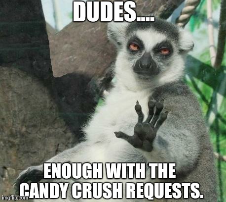 Stoner Lemur | DUDES.... ENOUGH WITH THE CANDY CRUSH REQUESTS. | image tagged in memes,stoner lemur | made w/ Imgflip meme maker