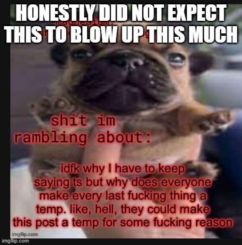 certified 'oops i did something great' moment | HONESTLY DID NOT EXPECT THIS TO BLOW UP THIS MUCH | image tagged in template godly wow | made w/ Imgflip meme maker