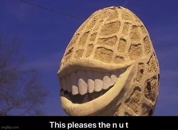 This pleases the nut | image tagged in this pleases the nut | made w/ Imgflip meme maker