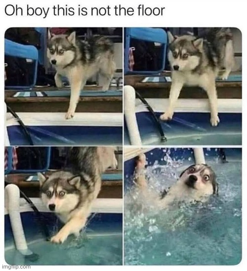 image tagged in memes,repost | made w/ Imgflip meme maker