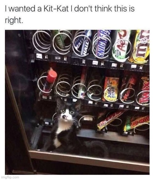 image tagged in memes,repost | made w/ Imgflip meme maker