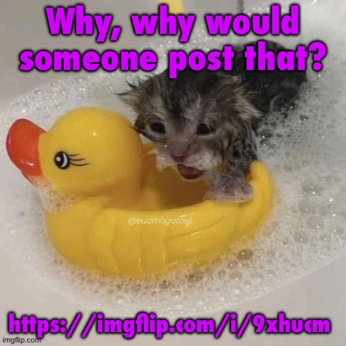 I don’t want to know that information, please flame him | Why, why would someone post that? https://imgflip.com/i/9xhucm | image tagged in watr | made w/ Imgflip meme maker