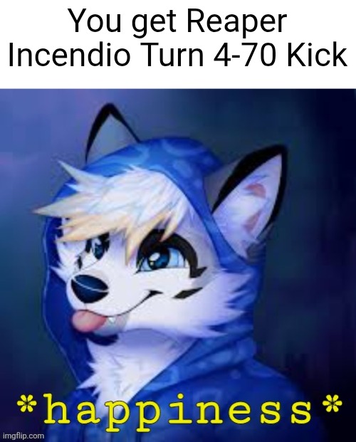 In a random booster | You get Reaper Incendio Turn 4-70 Kick | image tagged in furry happiness,beyblade | made w/ Imgflip meme maker